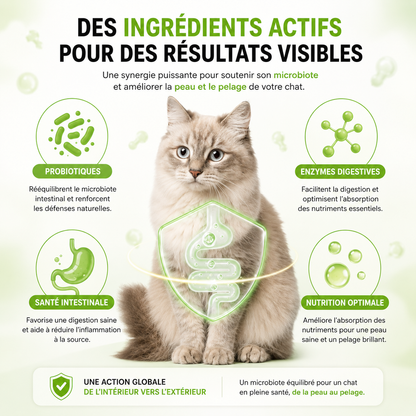 Dites adieu aux problèmes de peau et de toilettage de votre chat