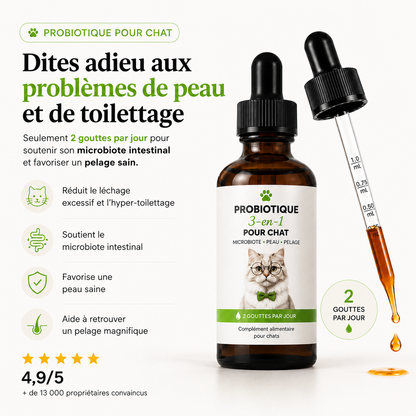 Dites adieu aux problèmes de peau et de toilettage de votre chat