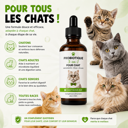 Dites adieu aux problèmes de peau et de toilettage de votre chat